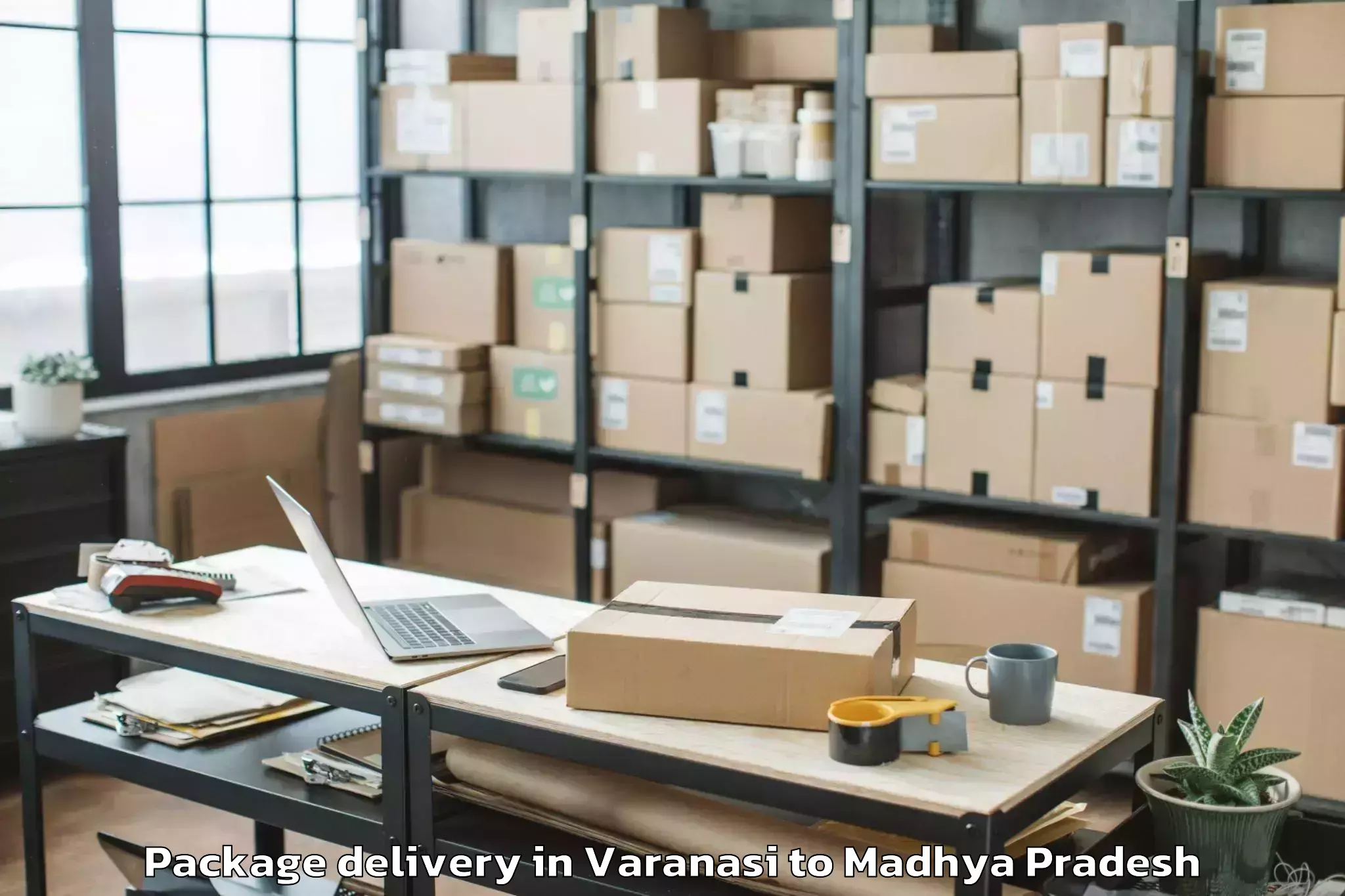 Trusted Varanasi to Alot Package Delivery